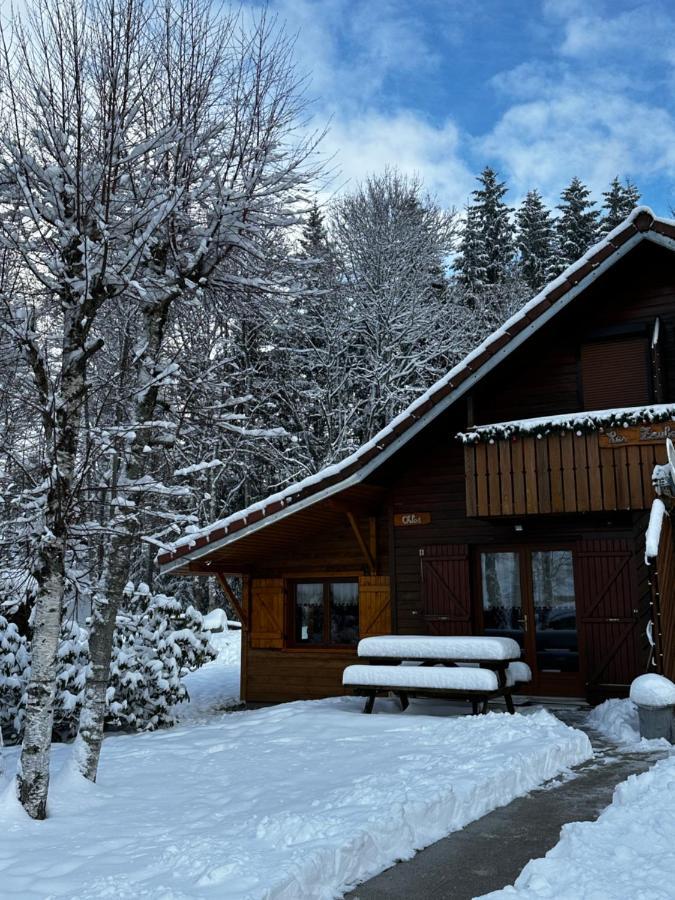 Chalet Chloe - Wifi, Bbq, Parking Xonrupt-Longemer ภายนอก รูปภาพ